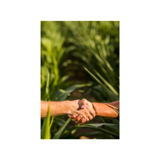 Custodia de Cosechas Temporales